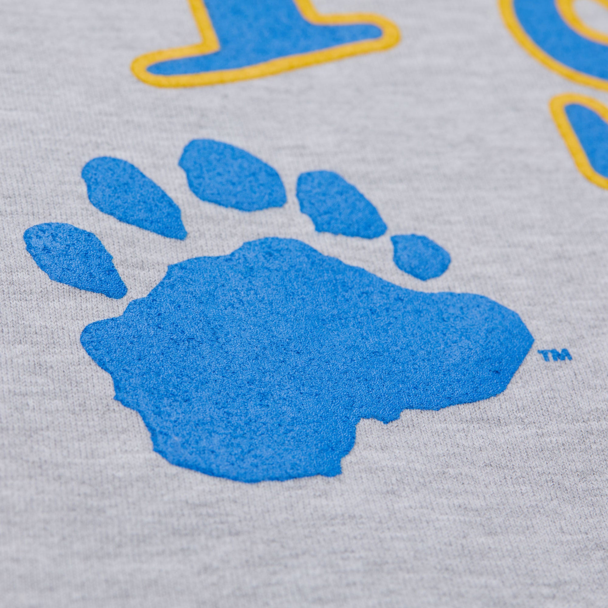 PLAYA SOCIETY X MITCHELL & NESS UCLA CREWNECK